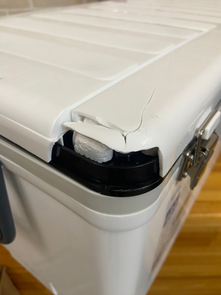 1 Термобокс SHINWA Holiday Land Cooler 48H белый (уценка)