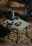 Стол туристический Naturehike Yamami Y01 складной, 52х37,5х41 см, зеленый