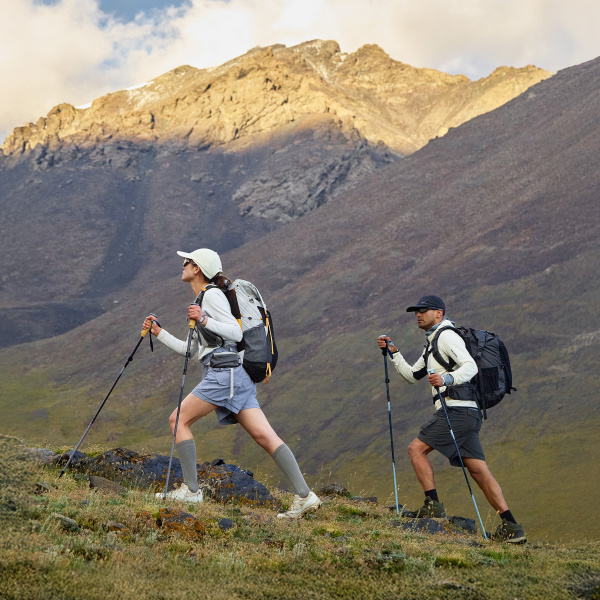 Палки треккинговые Naturehike Sunsia 3-EXT, 115-135 см,  карбон, 5-секционные, голубые, 2 шт
