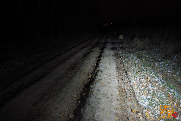 Светодиодная фара водительского света РИФ 145х45х78 мм 15W LED